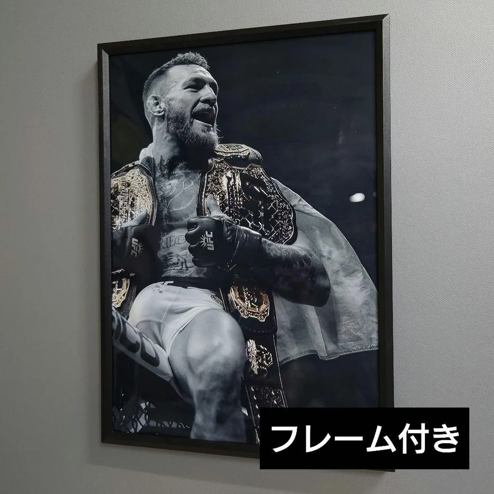 No.488F★コナーマクレガー A4 ポスター 写真 アート スポーツ 格闘技