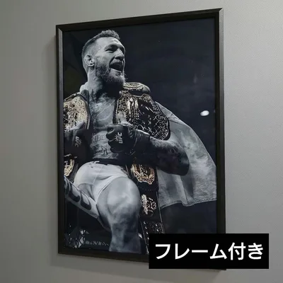 No.488F★コナーマクレガー A4 ポスター 写真 アート スポーツ 格闘技
