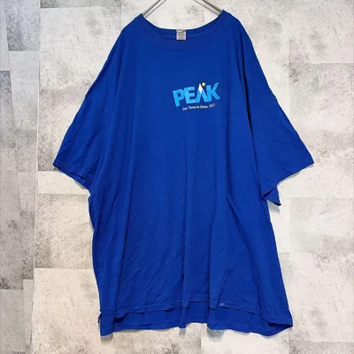 ⭐️ ギルダン メンズ ビッグサイズ Tシャツ 青色 3XL