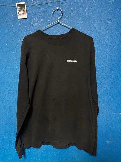 Patagonia ロンT 長袖 ブラック パタゴニア tシャツ