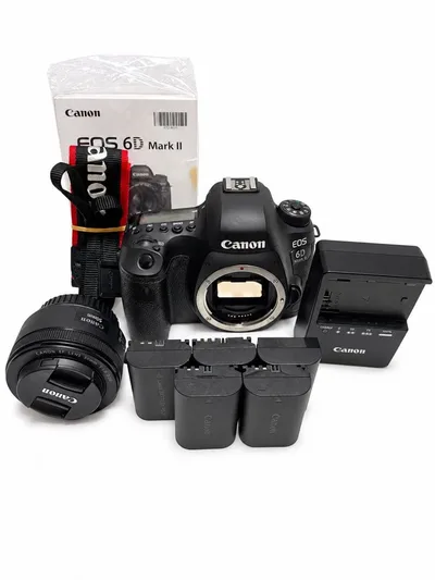 キヤノン Canon EOS 6D Mark II +レンズセット