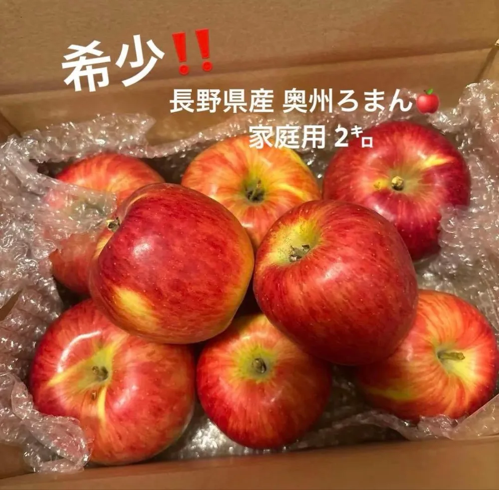 長野県産 りんご 奥州ろまん 2キロ 家庭用