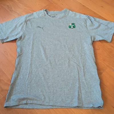 PUMA サッスオーロ Tシャツ グレー セリエA サッカー イタリア
