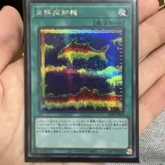 遊戯王 魚群探知機 シークレット