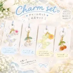 めじるしアクセサリー めじるしチャーム アンブレラチャーム バルーンドッグ