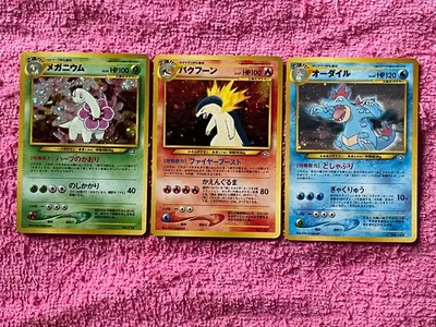メガニウム バクフーン オーダイル 3枚セット 旧裏 プレミアムファイル