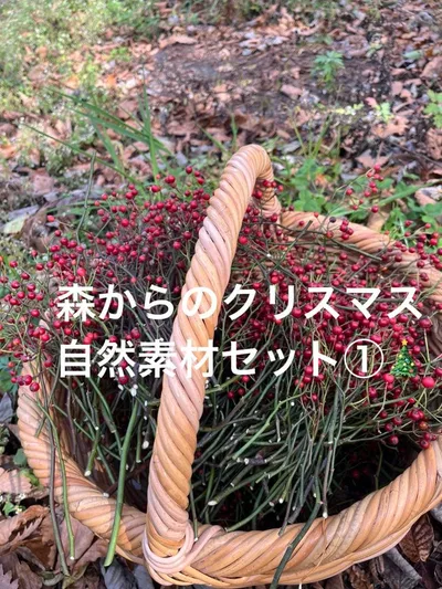 森から届くクリスマスのリース自然素材セット①バラの実!