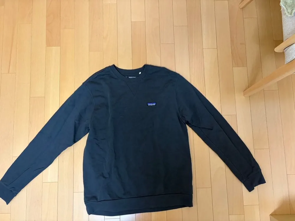 Patagonia パタゴニア スウェット トレーナー Lサイズ