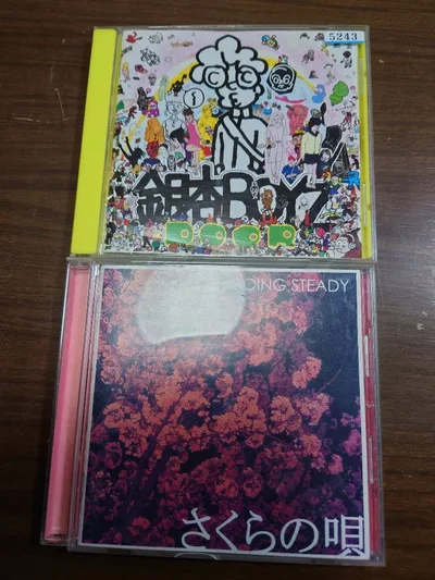 銀杏BOYZ GOING STEADY CD 2枚セット 中古