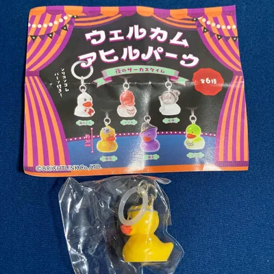 【新品未開封】ウェルカムアヒルパーク 骸骨 めじるしアクセサリー