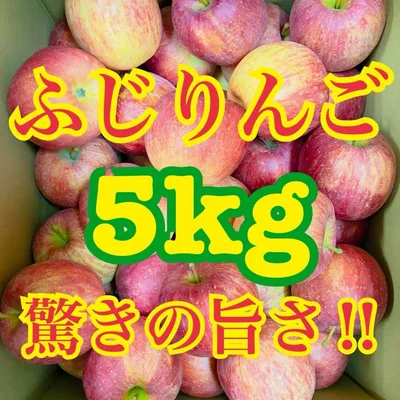 送料無料‼︎ ふじりんご 将軍様 ご家庭向け5kg