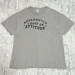 フルーツオブザルーム US アメリカ古着 英字 プリント 半袖Tシャツ XL
