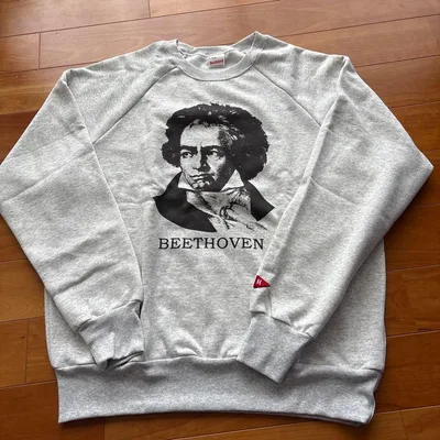 Healthknit ベートーヴェン スウェット Lサイズ
