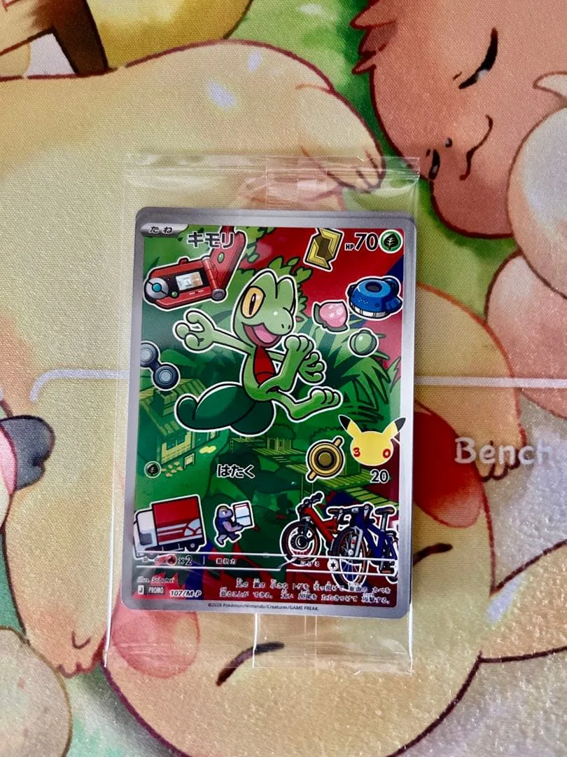 ポケカ プロモ キモリ ミズゴロウ アチャモ 未開封品 カードセット 30th