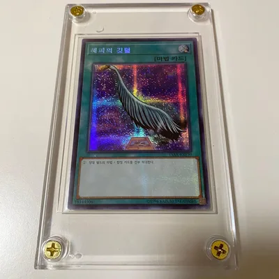 【韓国版】遊戯王 ハーピィの羽根帚 シークレットレア スクリューダウン付き