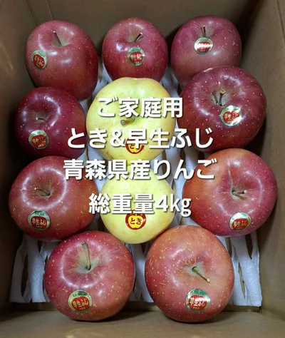 青森県産 『早生ふじ&ときりんご』 ご家庭用りんご総重量4kg No.1