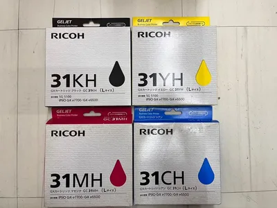 RICOH 純正 GELJET カートリッジ 4色セット Lサイズ
