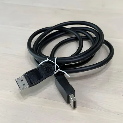 DisplayPort ケーブル ブラック