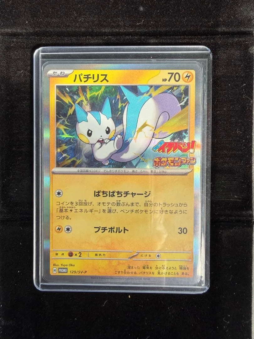 【即購入OK】マグネットローダー付きパチリス 129/SV-P プロモ