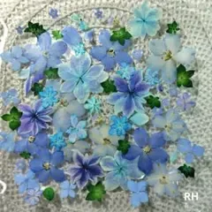 押し花素材 ブルー系ミックス あじさい