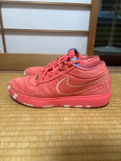 Nike Book 1 Sedona デビン・ブッカー 29.5cm