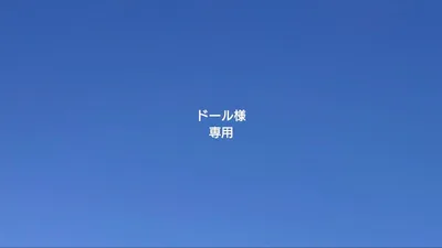 ドール様専用です