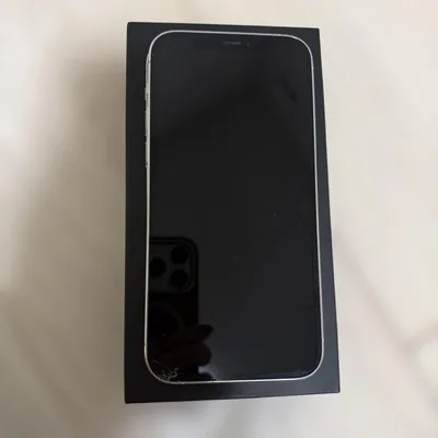 iPhone 12 Pro シルバー 128GB SIMフリー 動作確認済