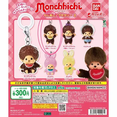 モンチッチ めじるしアクセサリー 2