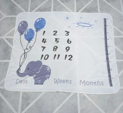 【美品】月齢フォト ブランケット 寝相アート 記念撮影 ベビー 付属品付き