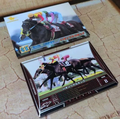 ハギノリアルキング 2枚セット トレーディングカード