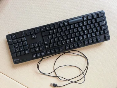 ELECOM 有線キーボード 本体 エレコム 日本語配列 ブラック USB接続