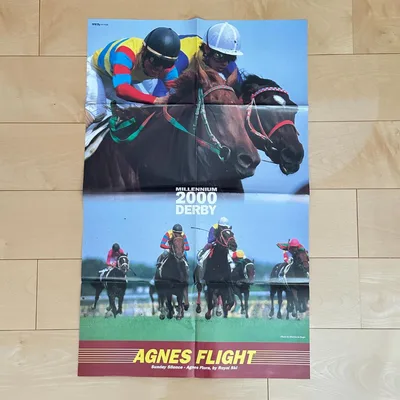 โปสเตอร์ Agnes Flight Thoroughbred ภาคผนวก 2000 Japan Derby