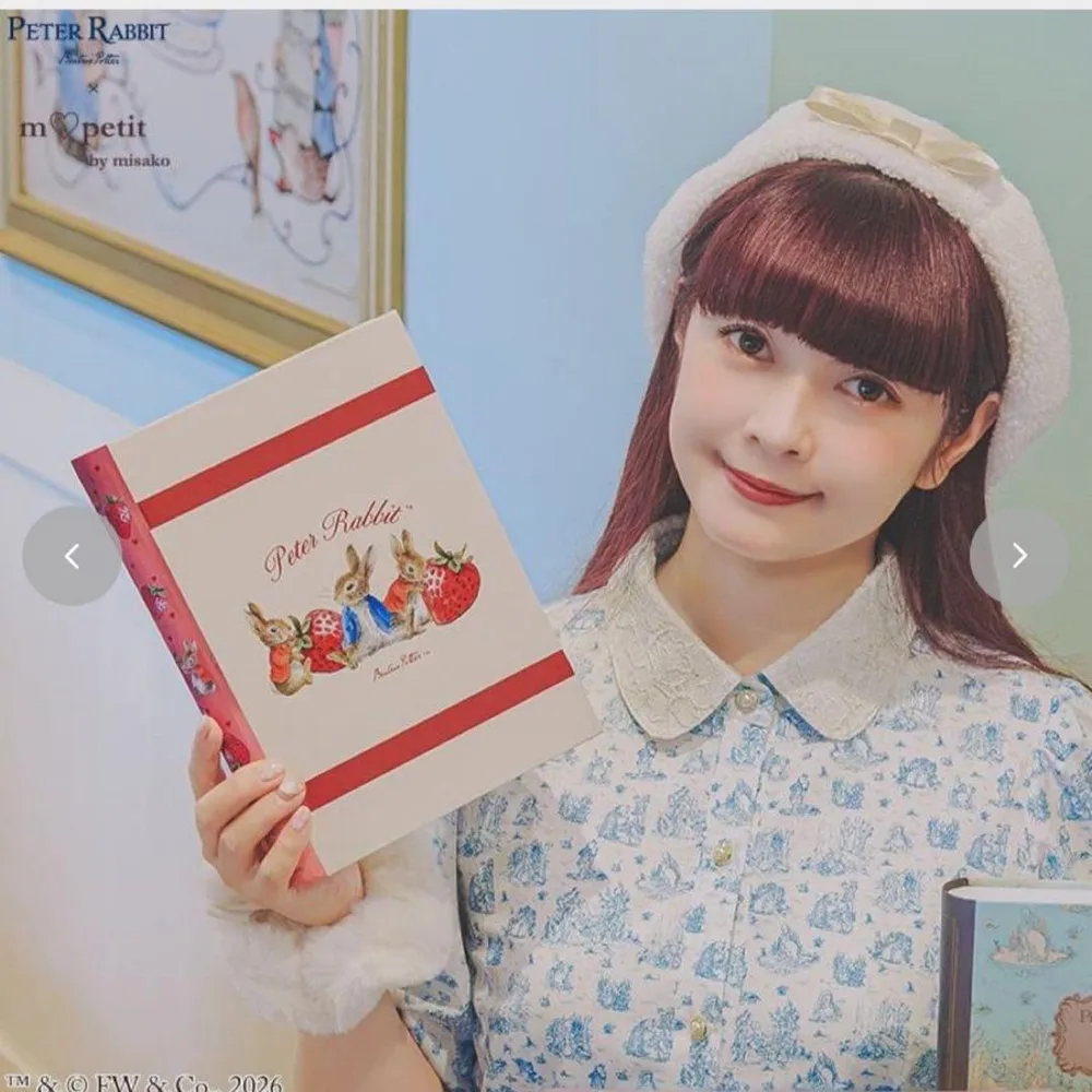 青木美沙子さん ブック型ボックス ピーターラビット しまむら 新品 匿名配送