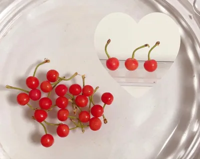 ミニチュア さくらんぼ 4ミリ 20個 フルーツパーツ 樹脂粘土
