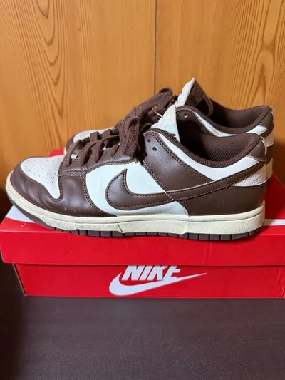 Nike Dunk Low Retro ブラウン