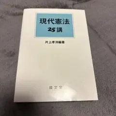 【即日発送】現代憲法25講