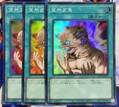 【最安値 スーパー】突然変異 3枚セット【たメタモルフォーゼ】