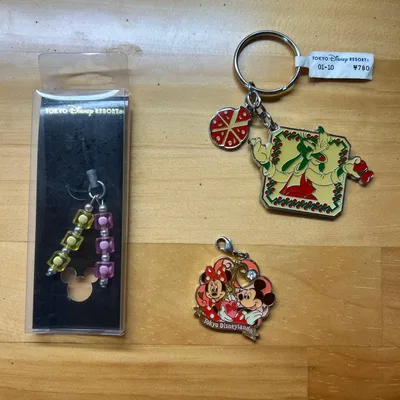 東京ディズニーリゾート キーホルダー ストラップ セット