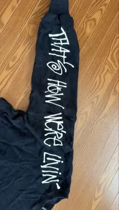 stussy ショーンフォント ショート丈 スウェット トレーナー