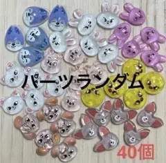 straykids skzoo スキズ ネイルパーツ 40個 ランダム
