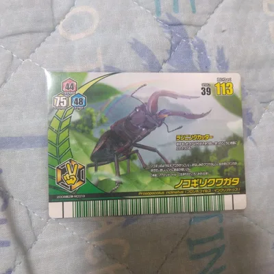 甲虫王者ムシキング ノコギリクワガタ 2008第2弾