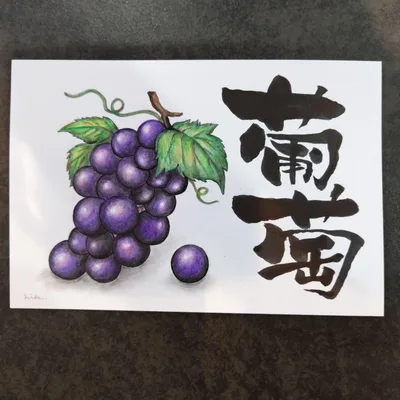 ぶどうのイラスト 筆文字アート 色鉛筆画