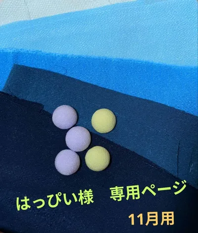 はっぴい様 専用ページです。(11月用)