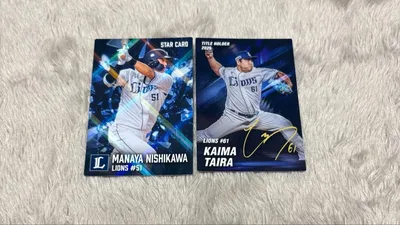 埼玉西武ライオンズ カルビー プロ野球チップス 2枚セット