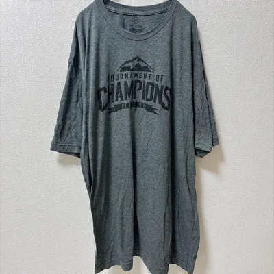 ルーディス 半袖Tシャツ クルーネック 半袖 プリント ビッグサイズ 灰 綿
