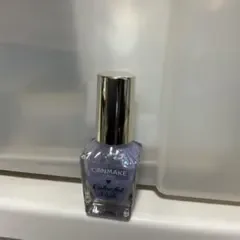 CANMAKE カラフルネイルズ N40
