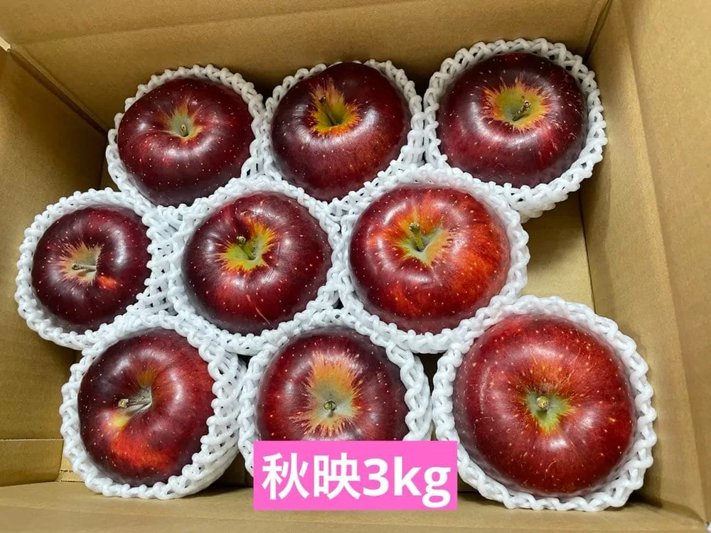 即日発送! りんご 秋映3kg 箱詰め 送料込み 匿名配送