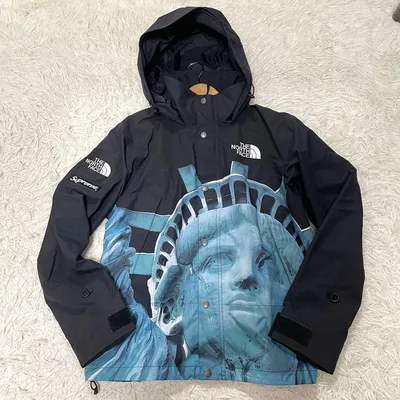 Supreme×THE NORTH FACE Mountain Jacket黒S