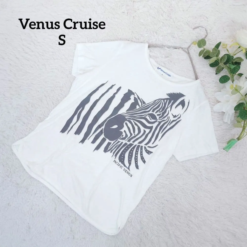 【希少】ヴィーナスクルーズ Tシャツ(S)白 コットン ゼブラ柄 カジュアル