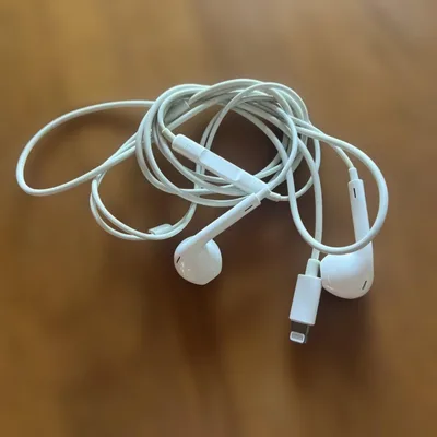 Apple EarPods with Lightning Connector